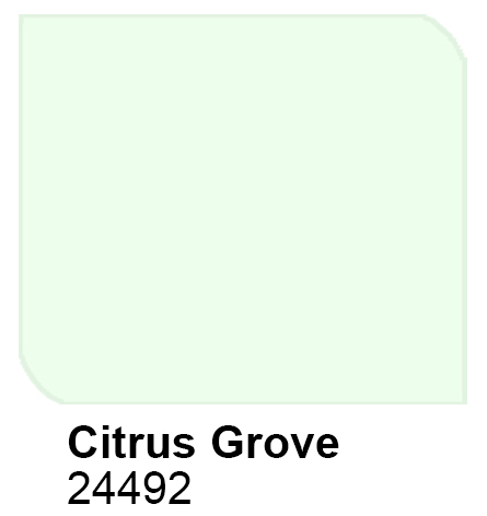 CITRUS GROVE